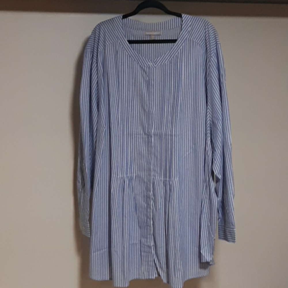 Woman Within, 5X, Blue/White Striped Blouse